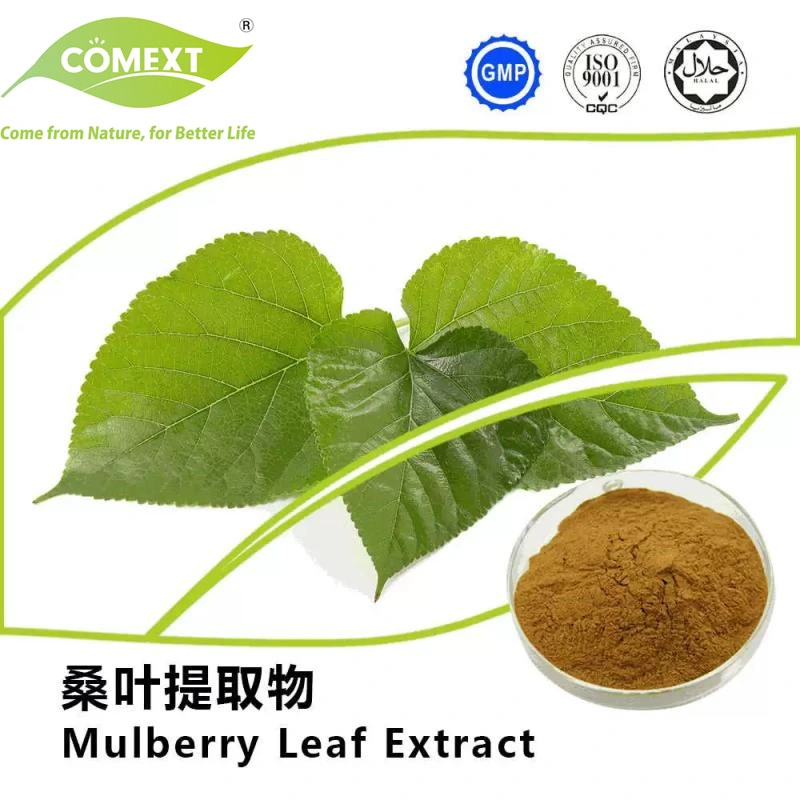 Comext ISO Fssc Halal Kosher Organic Manufacturer 1%~10% Dnj Powder Mulberry Leaf Extract