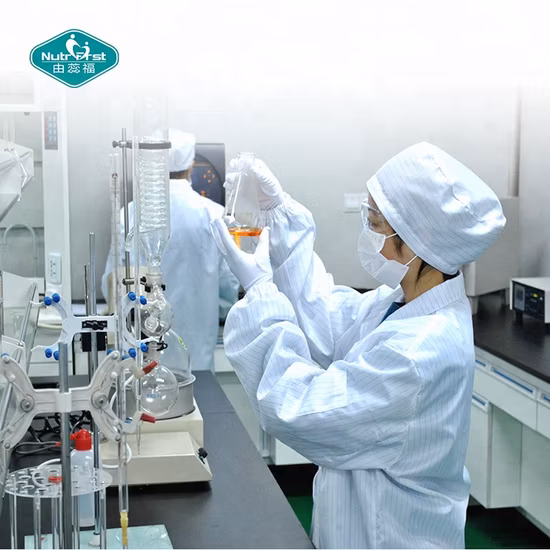 Extrato de planta de cogumelo juba de leão orgânico Hericium Erinaceus Reishi Cordyceps Militaris Cogumelo em pó de ervas