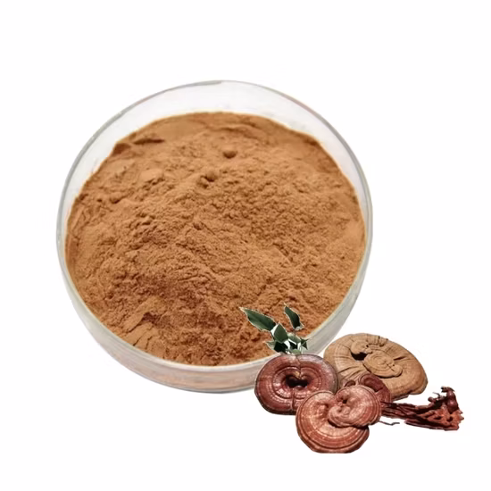 Fornecimento de fábrica de alta qualidade 100% natural Ganoderma Lucidum Extrato de erva Extrato de planta-extrato